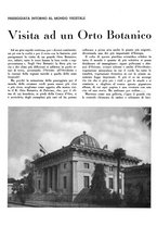 giornale/CFI0350904/1941/unico/00000338