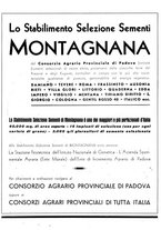 giornale/CFI0350904/1941/unico/00000356