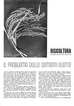 giornale/CFI0350904/1941/unico/00000364