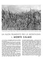 giornale/CFI0350904/1941/unico/00000368