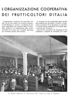 giornale/CFI0350904/1941/unico/00000372