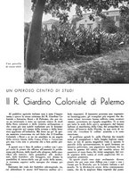 giornale/CFI0350904/1941/unico/00000391