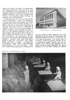 giornale/CFI0350904/1941/unico/00000399