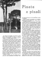 giornale/CFI0350904/1941/unico/00000464