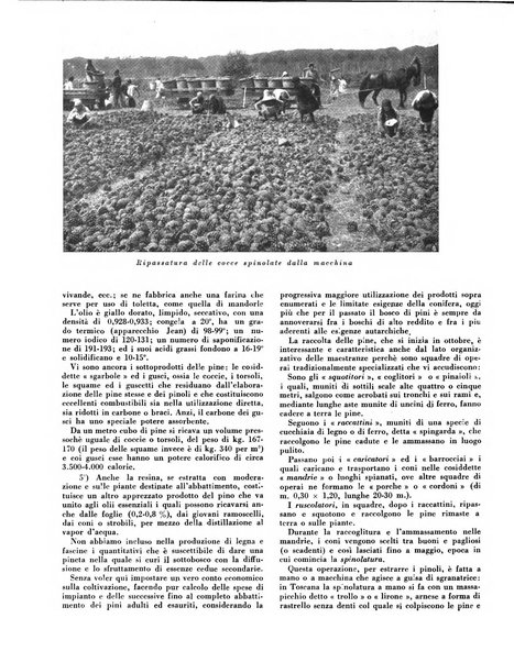 Cooperazione rurale rivista mensile