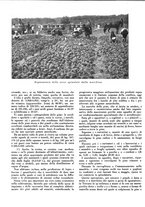 giornale/CFI0350904/1941/unico/00000468