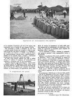 giornale/CFI0350904/1941/unico/00000469