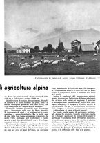 giornale/CFI0350904/1941/unico/00000473