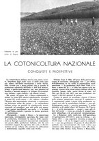 giornale/CFI0350904/1941/unico/00000475