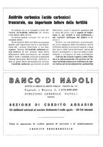 giornale/CFI0350904/1941/unico/00000488