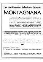 giornale/CFI0350904/1941/unico/00000492