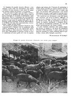 giornale/CFI0350904/1942/unico/00000031