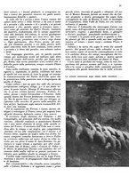 giornale/CFI0350904/1942/unico/00000037