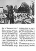 giornale/CFI0350904/1942/unico/00000038