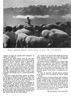 giornale/CFI0350904/1942/unico/00000039