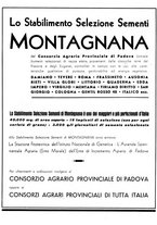 giornale/CFI0350904/1942/unico/00000048