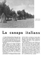 giornale/CFI0350904/1942/unico/00000066