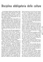 giornale/CFI0350904/1942/unico/00000099