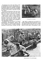 giornale/CFI0350904/1942/unico/00000103