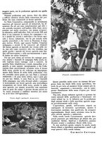 giornale/CFI0350904/1942/unico/00000105