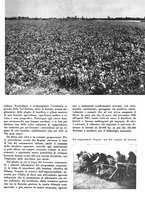 giornale/CFI0350904/1942/unico/00000107