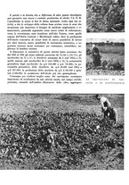 giornale/CFI0350904/1942/unico/00000108