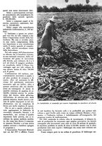 giornale/CFI0350904/1942/unico/00000109