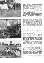 giornale/CFI0350904/1942/unico/00000110