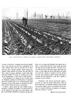 giornale/CFI0350904/1942/unico/00000117