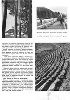 giornale/CFI0350904/1942/unico/00000121