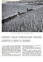 giornale/CFI0350904/1942/unico/00000141