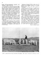 giornale/CFI0350904/1942/unico/00000182