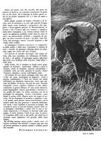 giornale/CFI0350904/1942/unico/00000195