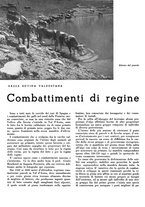 giornale/CFI0350904/1942/unico/00000230