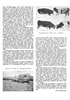 giornale/CFI0350904/1942/unico/00000231