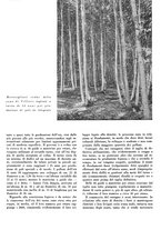 giornale/CFI0350904/1942/unico/00000245