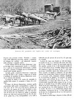 giornale/CFI0350904/1942/unico/00000246