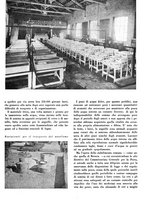 giornale/CFI0350904/1942/unico/00000301