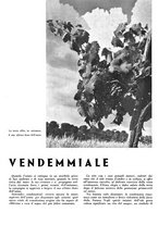 giornale/CFI0350904/1942/unico/00000320