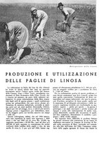 giornale/CFI0350904/1942/unico/00000330