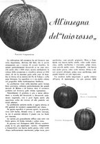 giornale/CFI0350904/1942/unico/00000334