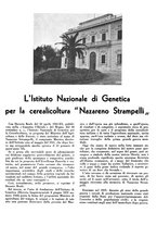 giornale/CFI0350904/1942/unico/00000353