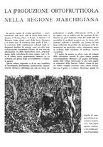 giornale/CFI0350904/1942/unico/00000358