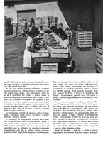 giornale/CFI0350904/1942/unico/00000359