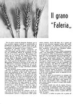 giornale/CFI0350904/1942/unico/00000370