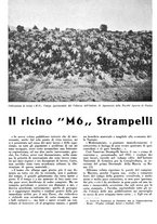 giornale/CFI0350904/1942/unico/00000390