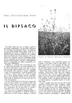 giornale/CFI0350904/1942/unico/00000408