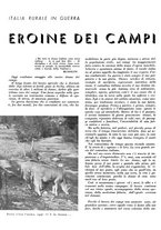 giornale/CFI0350904/1942/unico/00000432