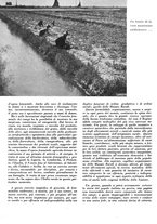 giornale/CFI0350904/1942/unico/00000436