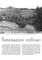 giornale/CFI0350904/1942/unico/00000442